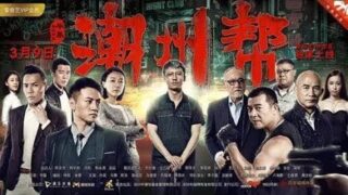 动作电影《潮州帮》李子雄/吴毅将/海鸣威主演.国语中字免费电影线上看