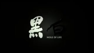 动作电影《黑白》 纯正台湾黑帮电影.国语中字免费电影线上看