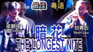 剧情电影《暗花》刘青云/梁朝伟/邵美琪主演.电影推荐在线看