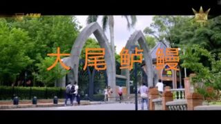 台湾喜剧电影《大尾鲈鳗》中文字幕免费线上看