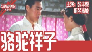 华语经典剧情电影《骆驼祥子》张丰毅 / 斯琴高娃.国语中字高清电影线上看【不是所有的人生都能逆袭成功】