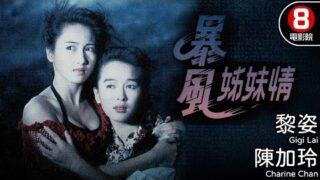 香港电影《姊妹情深》梁家辉/袁咏仪主演.中文字幕电影在线看