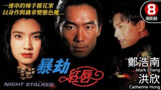 警匪动作电影《暴劫红唇 (Night Stalke)》郑浩南/洪欣/林伟主演，免费粤语电影线上看