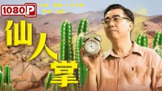 喜剧电影《仙人掌》最新免费电影在线看